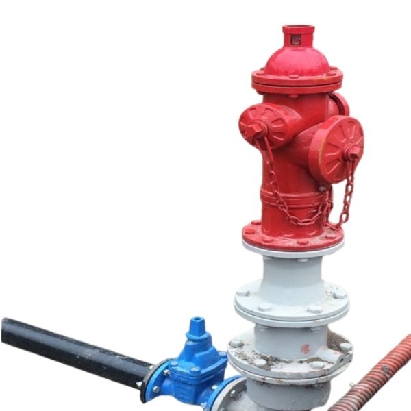 Ảnh sản phẩm 1